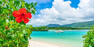 ダミーイメージ